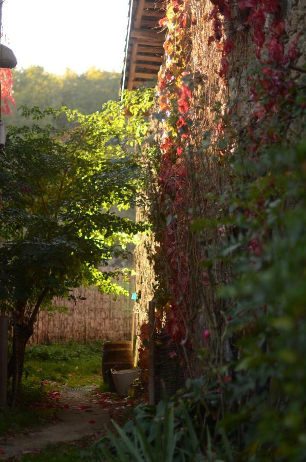 Torre Tanquián Eco Finca - Ribeira Sacra Pantón Exterior foto